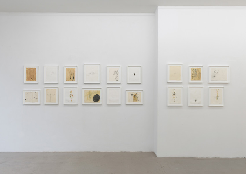 Special Feature for Art Basel 2024